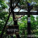 절터골2 Daum카페