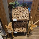 설악어린이공원 | 고성 켄싱턴리조트 설악밸리 아이랑 오기 좋은 숙소 프리미어로잔 숙박, 조식 후기!(내돈내산 솔직후기)