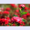 곡성-043 이미지