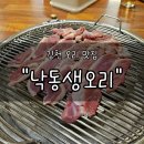 낙동 | 김천 교동맛집추천 "낙동생오리" 후기 | 신선함이 남다른 생오리 숯불구이