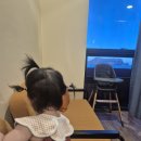 오션 아레나 | 제주 아쿠아플라넷 오션아레나 공연시간 솔직후기 푸드코트 맛집