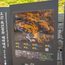 독산성길(삼남길) 이미지