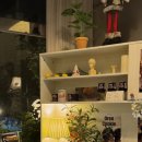 인플럭스 이미지