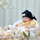 로다테이블 네이버블로그