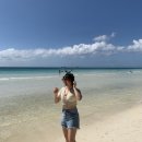제트녹즙 | [보라카이 재개장] 자유여행 Day 2 허용가능 수상 액티비티😎 패러세일링과 패들보트 + 인생샷을 위한...