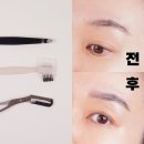 브로우바루이