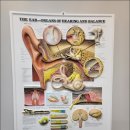 가자 보청기 이미지