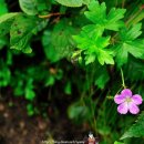 오색초등학교 이미지