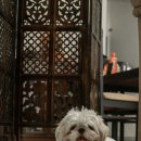 마음가득동물병원 이미지