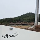 여수키즈풀빌라 남쪽아이 이미지