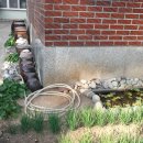 김종석농장 이미지