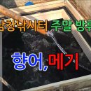 남창낚시터 이미지