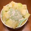 스테이유유 이미지