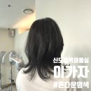 앨리마트 | 신도림역미용실 이가자 : 톤다운 염색 &amp; 울프컷 후기 feat. 앨리 실장님