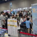 강남펫스타일 | 코엑스 캐릭터 보드게임 케이펫 페어 4개 하루 만에 다녀온 후기