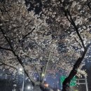 수성유원지(상화동산) 이미지