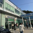 더몽피시 가야점 | 울릉도 독도 배편 및 입도 후기｜독도 가는 법 완벽 정리