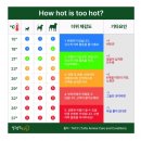 종인유치원 네이버블로그