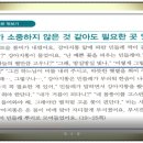 문해초급 이미지