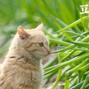 덕계북길 이미지