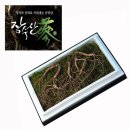 장생인삼