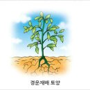 모두가 도시농부 밭 만들기 이미지