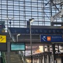 볼트피자 | 후기, 인천공항 T2 대한항공 칼 라운지 후기, 파리행 대한항공 KE901 후기, 파리 공항 볼트 택시 이용 후기