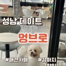 [성남 카페] 아이들과 같이가기 좋은 애견카페! 멍브로 방문후기!