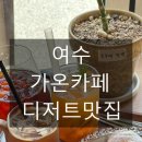 흥국상가 | 여수 가온 카페 다녀온 후기. 흥국상가 감성 카페, 원두전문, 디저트, 거북이 수조
