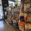 오렌지 동물병원 이미지