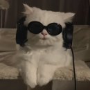 낙원 세탁소 | [북경어언대 본과생 준비 #10] 중국 유학 준비 FAQ 모음 | 중국 유학 현실 (비용, 공부, 주거, 생활...