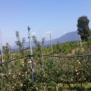 사암농장 이미지