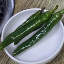 찬우물한방감자탕 | [종가댁인천공항]근처 감자탕 맛집 〈88뼈해장국〉후기 인삼이 통째로! 내돈내산 후기