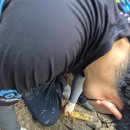 상하수도사업소(임시청사) | 안산 빌라 누수탐지 여기도 가눙할까요