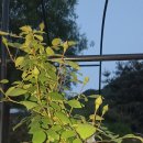 몽실하우스 이미지