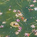 양지바른 이미지