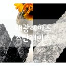 대광컴퓨터 | 스판레이스 대광레이스 먼지덮개로 사용후기