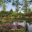 태화강국가정원 이미지