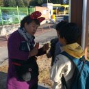 봉평초등학교 이미지