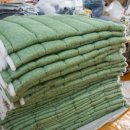 제스트(501) 이미지