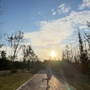 다산 게이트볼장 이미지