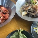 달빛삼합간장게장 | 여수에스포역 근처 맛집 엑스포 해물삼합에서 게장백반 먹은 후기