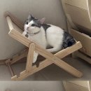 pet187어2465 | 미플라이펫 서포터즈 2기 / 미플라이펫 반려동물 의료기기 목걸이 착용 후 (약 4~5주간) 실제 효과 후기