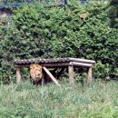 유동물원 이미지