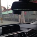 인성셀프세차타운 이미지