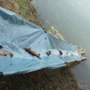 피쉬랜드낚시터 이미지