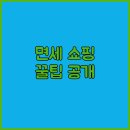이것도쇼핑