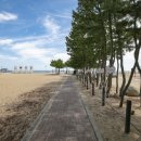설악해변(비치마켓) 이미지