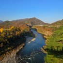 더부자(7단지정문02-2666-880 | 포천 한탄강 생태경관단지 / 한탄강 Y자 출렁다리 -2024. 11. 02