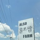 올쏘팜